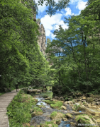 五天四晚必去天门山+张家界国度丛林公园纯玩导